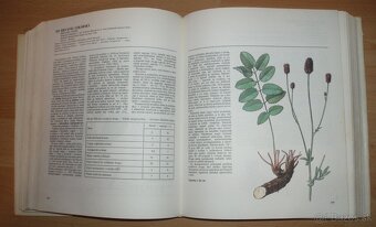 Atlas Liečivých rastlín a lesných plodov - 10