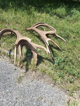 Zhody,parožie, - 10
