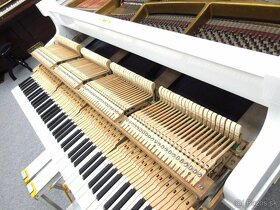 Luxusný klavír za cenu piana - 10