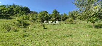 HALO reality - REZERVOVANÉ (prihláste sa na čakaciu listinu) - 10