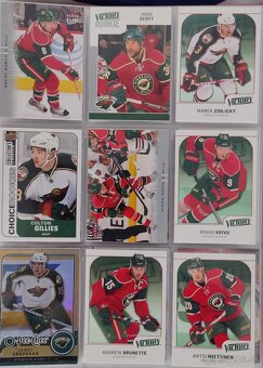 Hokejové kartičky Minnesota Wild - 10