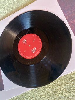 Lana Del Rey LP,RARE Lust For Life version - 10