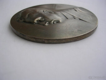 AE medaila 1915 Arcivojvoda Karl Franz Josef - 10