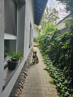 Prenájom izby od júla – Ružinov, bez provízie RK - 10