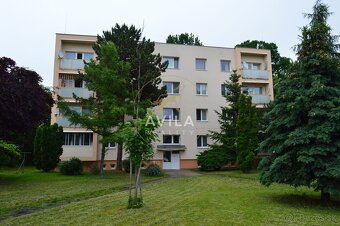 NA PREDAJ: veľkorysý 3-izbový byt 90m2, 2loggie - Trnava - 10