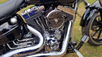 HARLEY-DAVIDSON FXSB BREAKOUT 2014 - 10