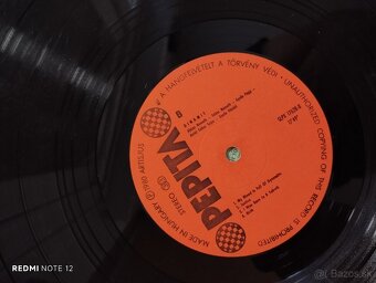 Predám vinylové platne - 10
