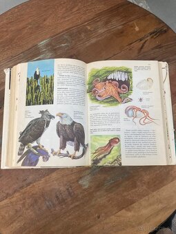 Svet živočíšnej ríše - 10