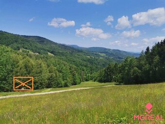 Na predaj 2 rozostavané chaty - Kokava nad Rimavicou - 10