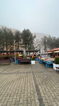 1izbovy byt Lamac Malokarpatske namesti - 10