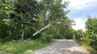 Lestnatý porast 5862 m2, Včelárska paseka, Vyšné Opátske - 10