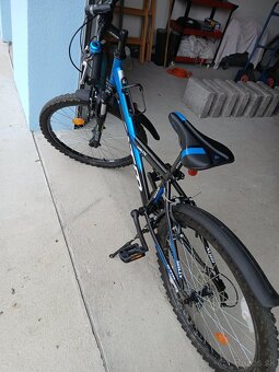 VEDORA CROSS, CTM WILLY 24 - 10