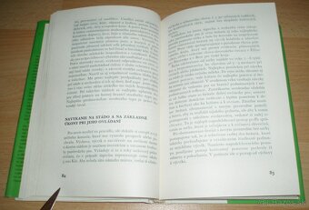 Slovenský čuvač - 10