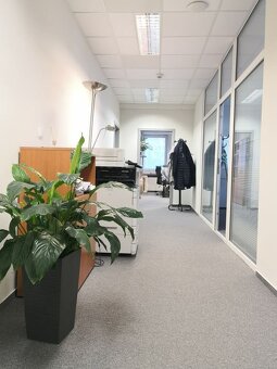 Reprezentatívne kancelárie s výhľadom na jazero, 245 m2 - 10