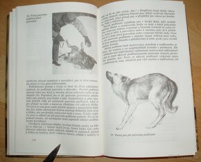 Poznej svého psa – Etológia a psychológie psa - 10
