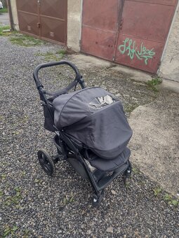 Darujem kocik - 10