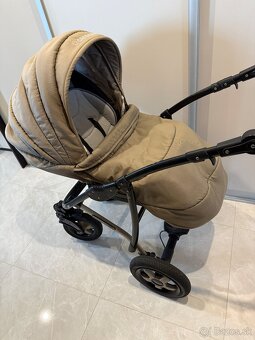 Predam kocik Camarelo - 10