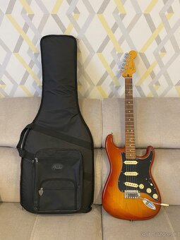 Fender Player Plus Stratocaster - 10