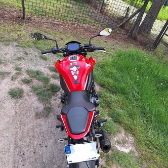 Kawasaki Z 900 50Th Lilmited edition - 10