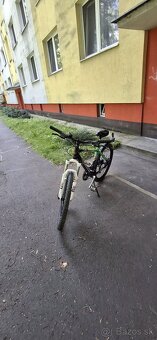 Bicykel kenzel skade 3x - 10