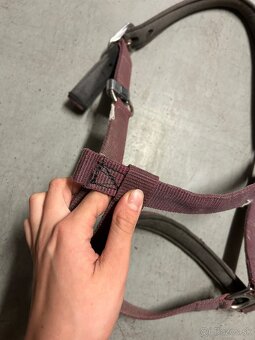 Viaceré ohlávky pre kone - 10