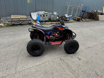HONDA TRX 700XX - 10