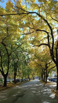 Predaj 4 izb. byt na Jégeho ul. - 10