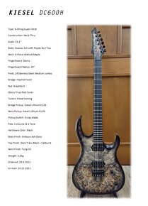 Kiesel DC600H - 10