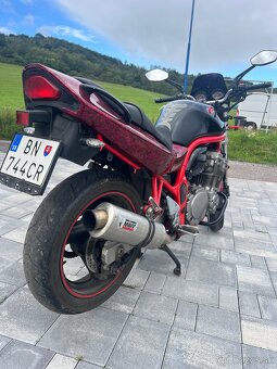 ✅Suzuki bandit✅ - 10