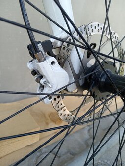 TWENTY NINER 29" - 10