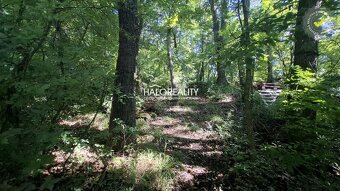 HALO reality - Predaj, chata Buková, lokalita Hrudky, pozemo - 10