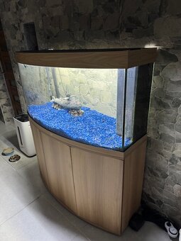 Akváriou 260 L Juwel - 10