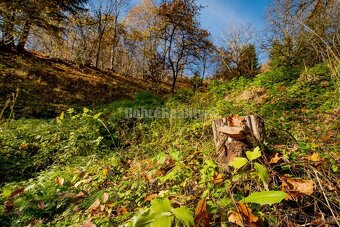PREDAJ: Tajuplná záhrada s jazierkom a banským potôčikom, 19 - 10