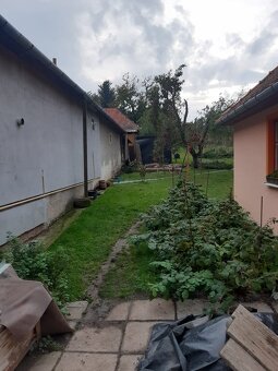 Pílenie a orez stromov - 10