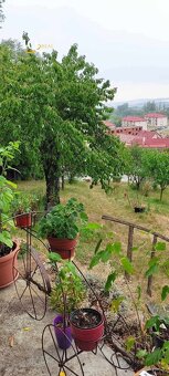 Pozemok v Sabinove s rodinným domom-upravená cena-investičná - 10