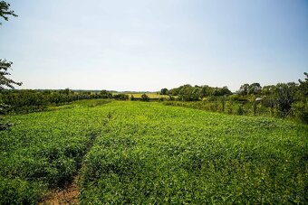 Na predaj pozemok blízko centra s výhľadom na kalváriu - 10
