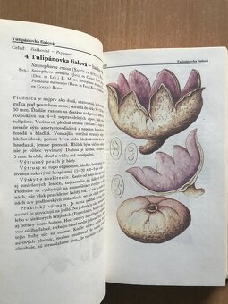 5 x literatura o hubach - 10