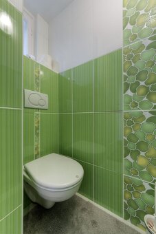 Large refurbished 1-bedroom apartment - 10