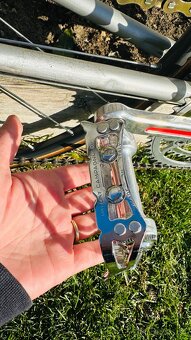 Favorit F1 campagnolo - 10