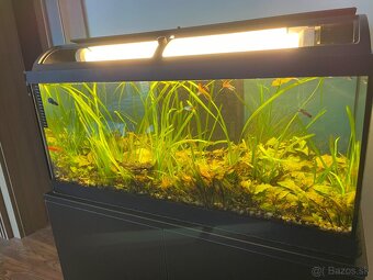 Predám kompletne zariadené 100 litrové akvárium - 10
