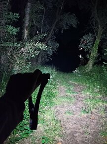 Vodeodolná 13W čelovka s UV svetlom a silným bielym svetlom - 10