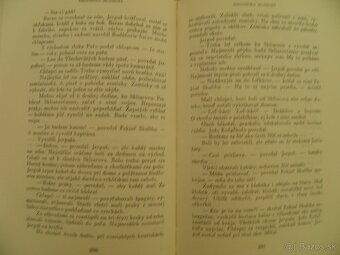 Slovenská klasika / povinné čítanie - 10