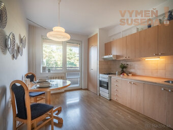 VYMEŇ SUSEDA - VÝNIMOČNÝ 3 IZB. BYT S DVOMI LOGGIAMI, VYHĽA - 10