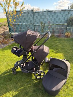 Easywalker Harvey3 - surodenecky kociar - 10