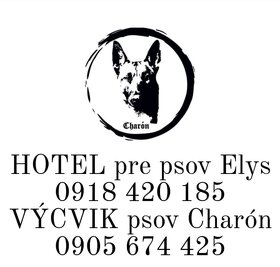 hotel pre psov, vycvik psov aj s ubytovanim v Boldogu pri SC - 10