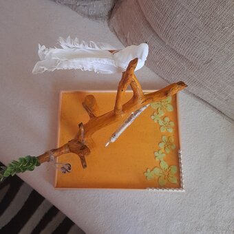 Papagáje, stromobidlá, strom pre papagáje - 10