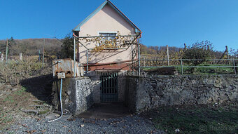 Záhradný domček s vinohradom - 10