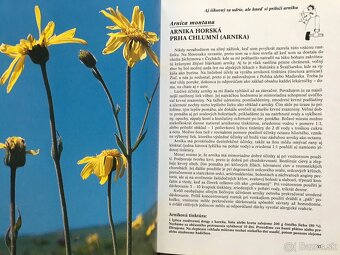 Pestrá príroda, Golf, První kroky na FOREXu, Slovenský futba - 10