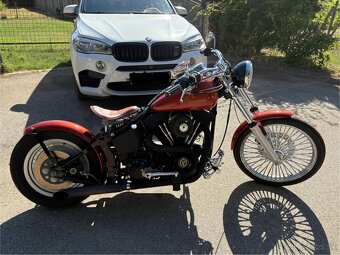 Harley-Davidson Night Train 1998 - 10