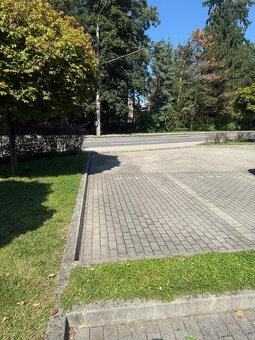 2izbový byt EURO HOME BÔRIK s vlastnou záhradou a parkovaním - 10